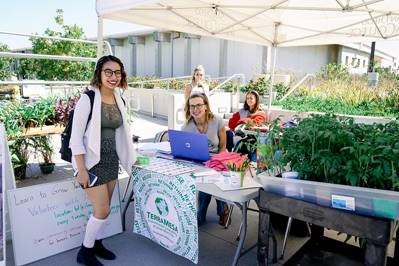 Food and Agriculture