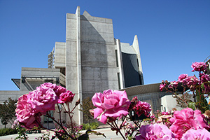san diego mesa libray