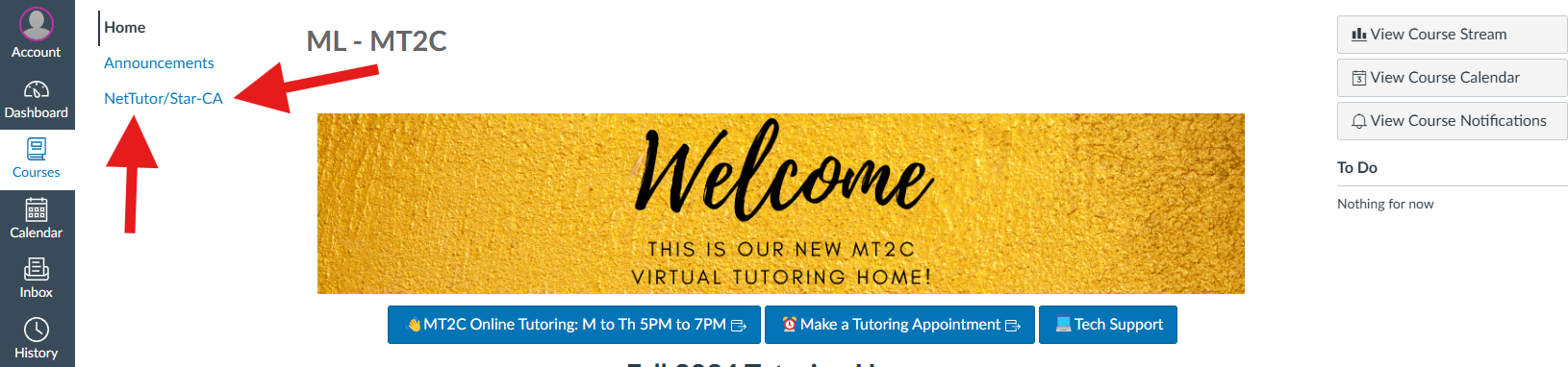 nettutor access photo 1